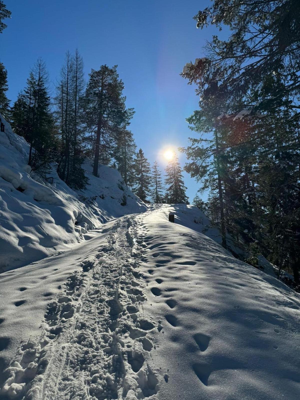 Alpenlandhaus Menardi Зеефельд в Тироле Экстерьер фото